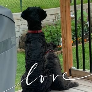 Meet your Posher, Amber